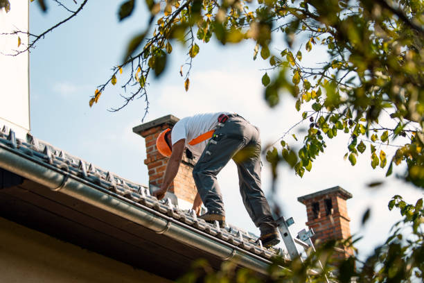 Best Metal Roofing Installation  in Nikiski, AK
