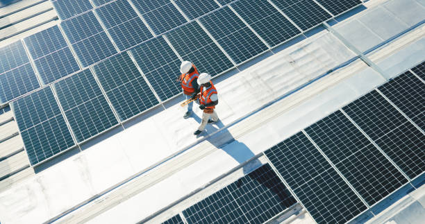 Best Skylight Installation and Repair  in Nikiski, AK