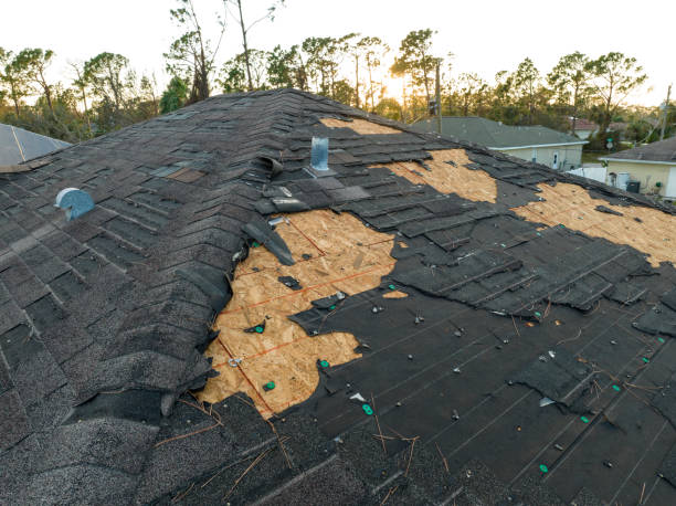 Best Roof Installation  in Nikiski, AK