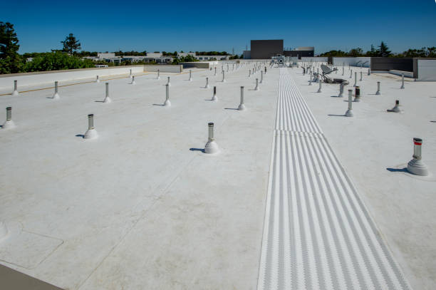 Best Asphalt Shingles Roofing  in Nikiski, AK